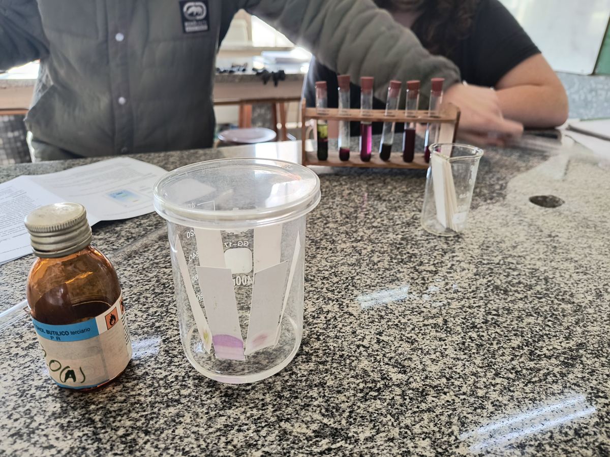Tubos de ensayo y tiras reactivas en una práctica de laboratorio.