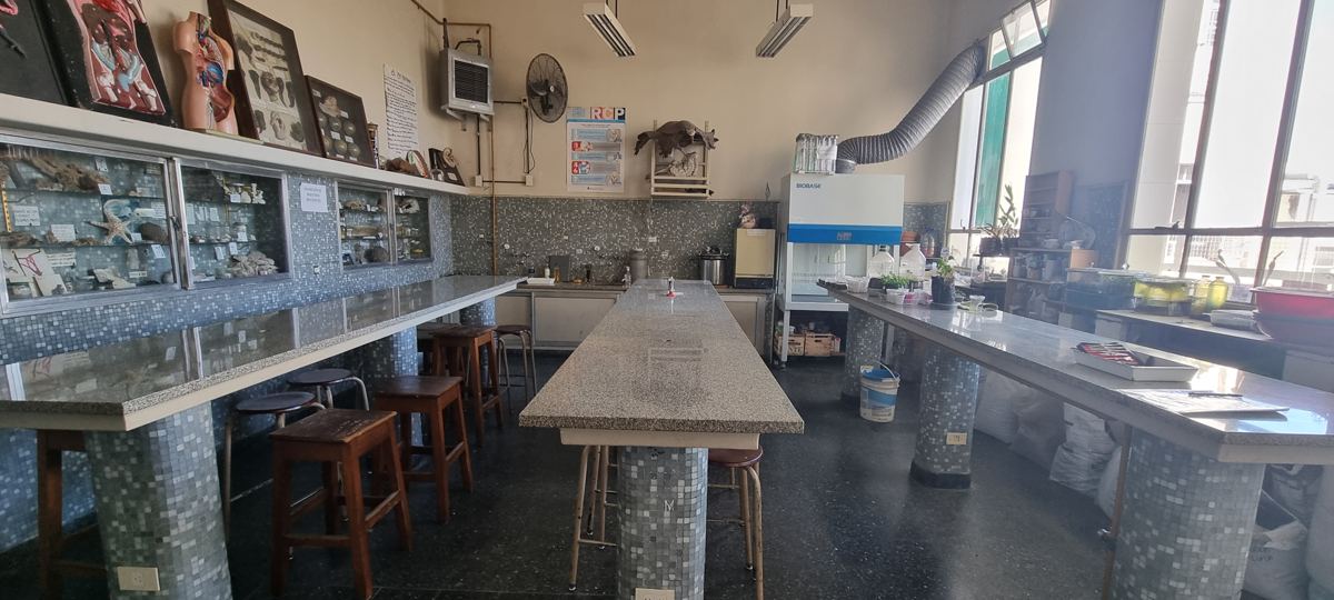 Laboratorio con mesadas de trabajo y vitrinas.